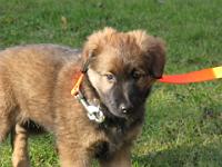 2009_01_30 bella_003